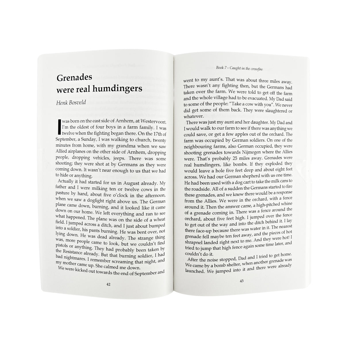 Dutch in Wartime - Caught in The Crossfire - Book 7