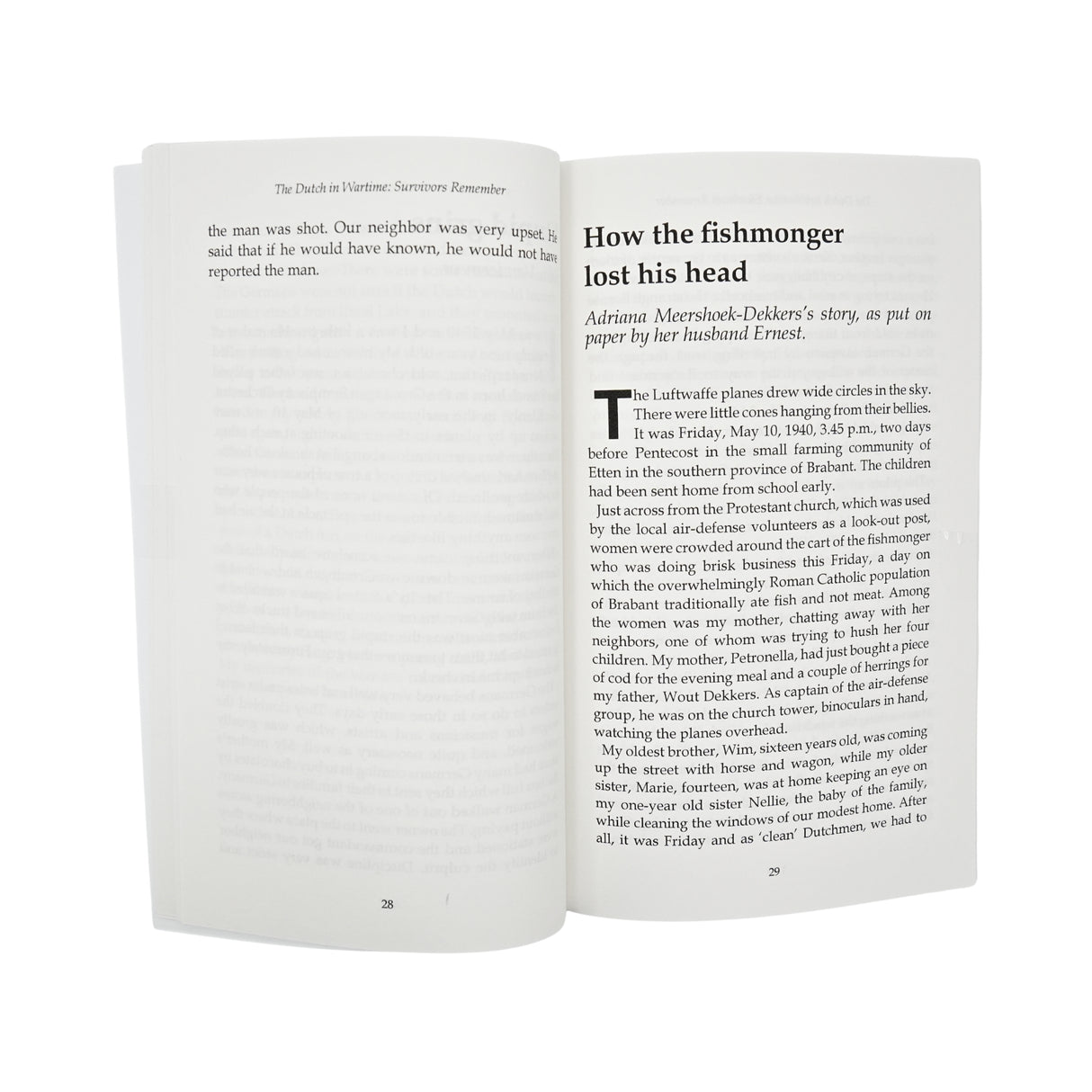 Dutch in Wartime - Invasion - Book 1