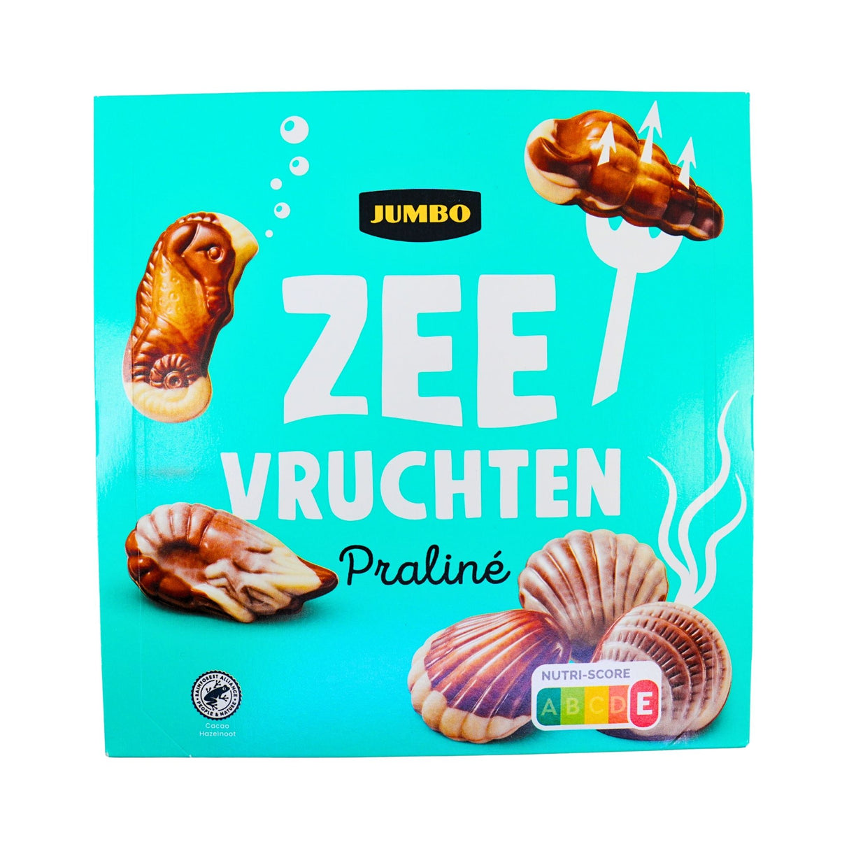 Jumbo Chocolate Seashells 8.8 oz (250 gr) box