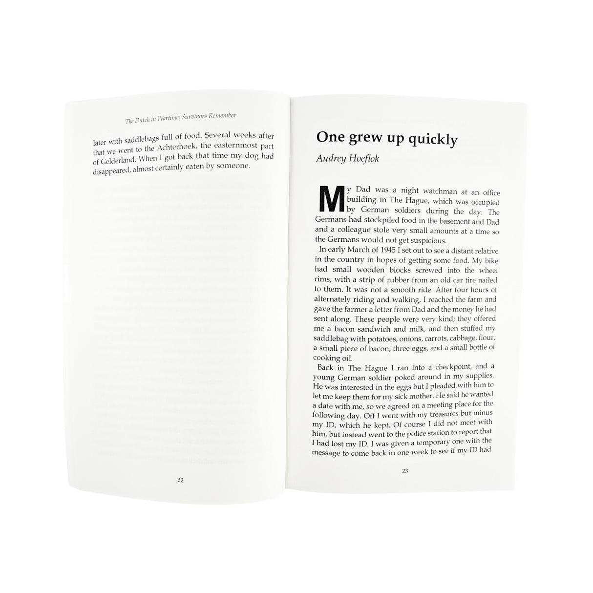 Dutch in Wartime - The Hunger Winter - Book 8