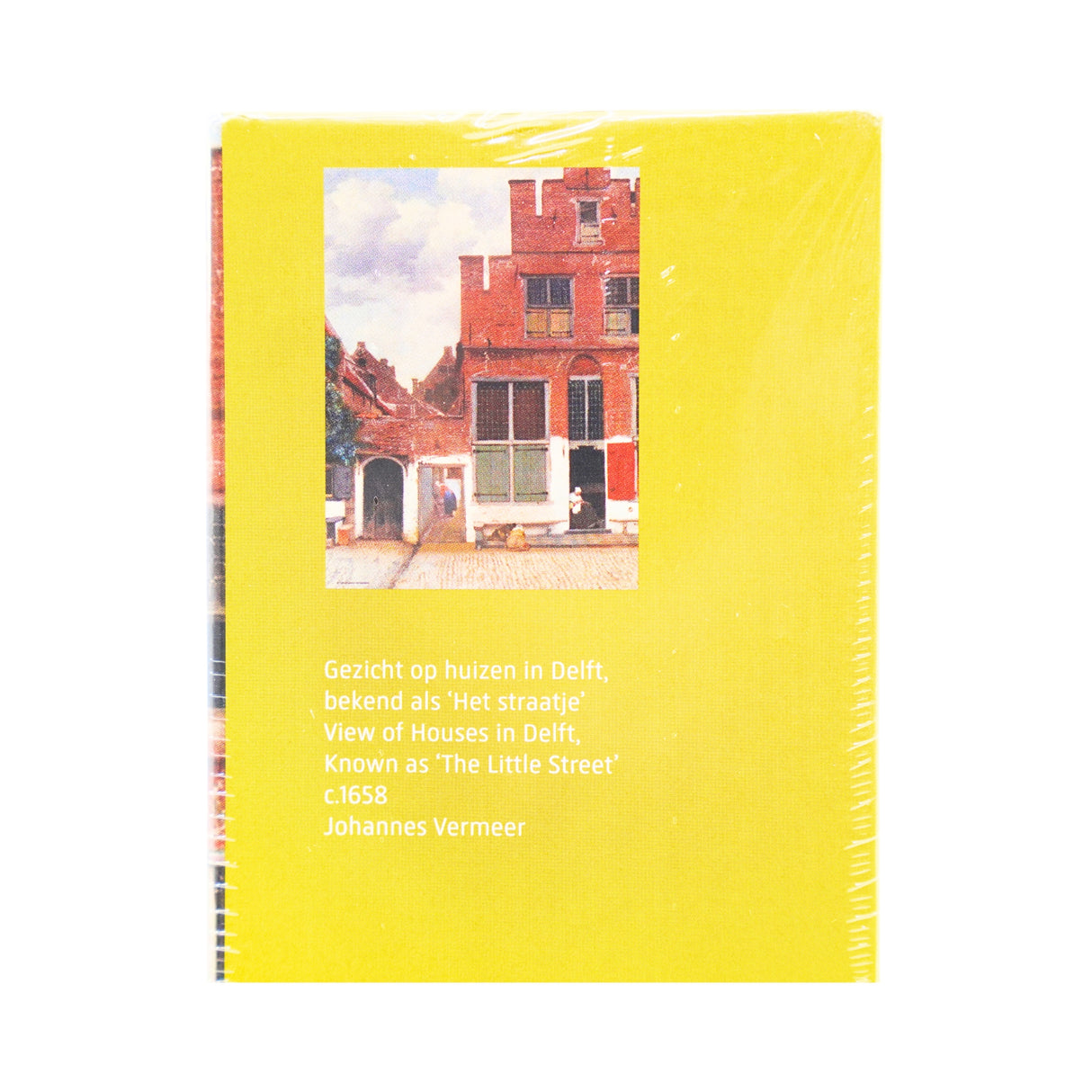 Puzzle Streetview by Johannes Vermeer 1000 Pcs