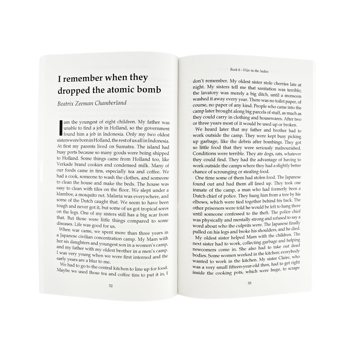 Dutch in Wartime - War in The Indies - Book 6