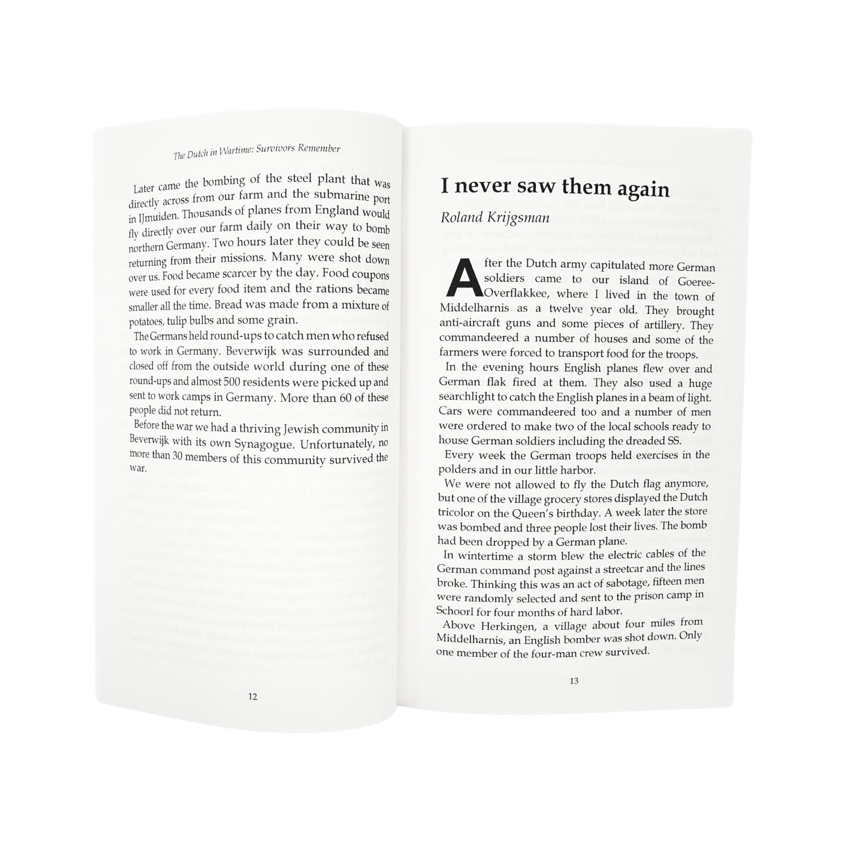 Dutch in Wartime - Under Nazi Rule - Book 2