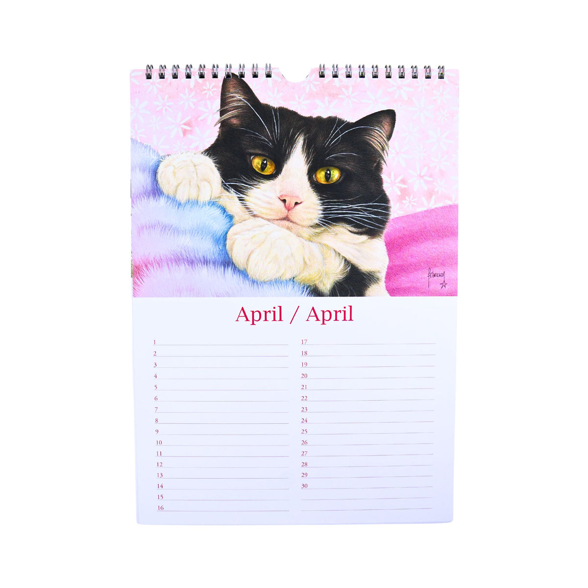 Francien Katten Cats and Kittens Birthday Calendar