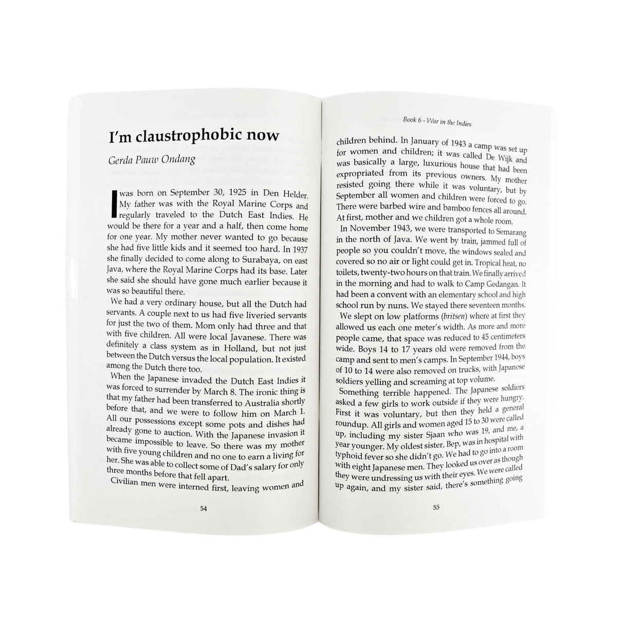 Dutch in Wartime - War in The Indies - Book 6