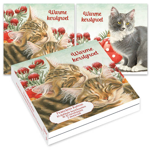 Christmas Cards Franciens Katten Cat with Ornaments box of 10