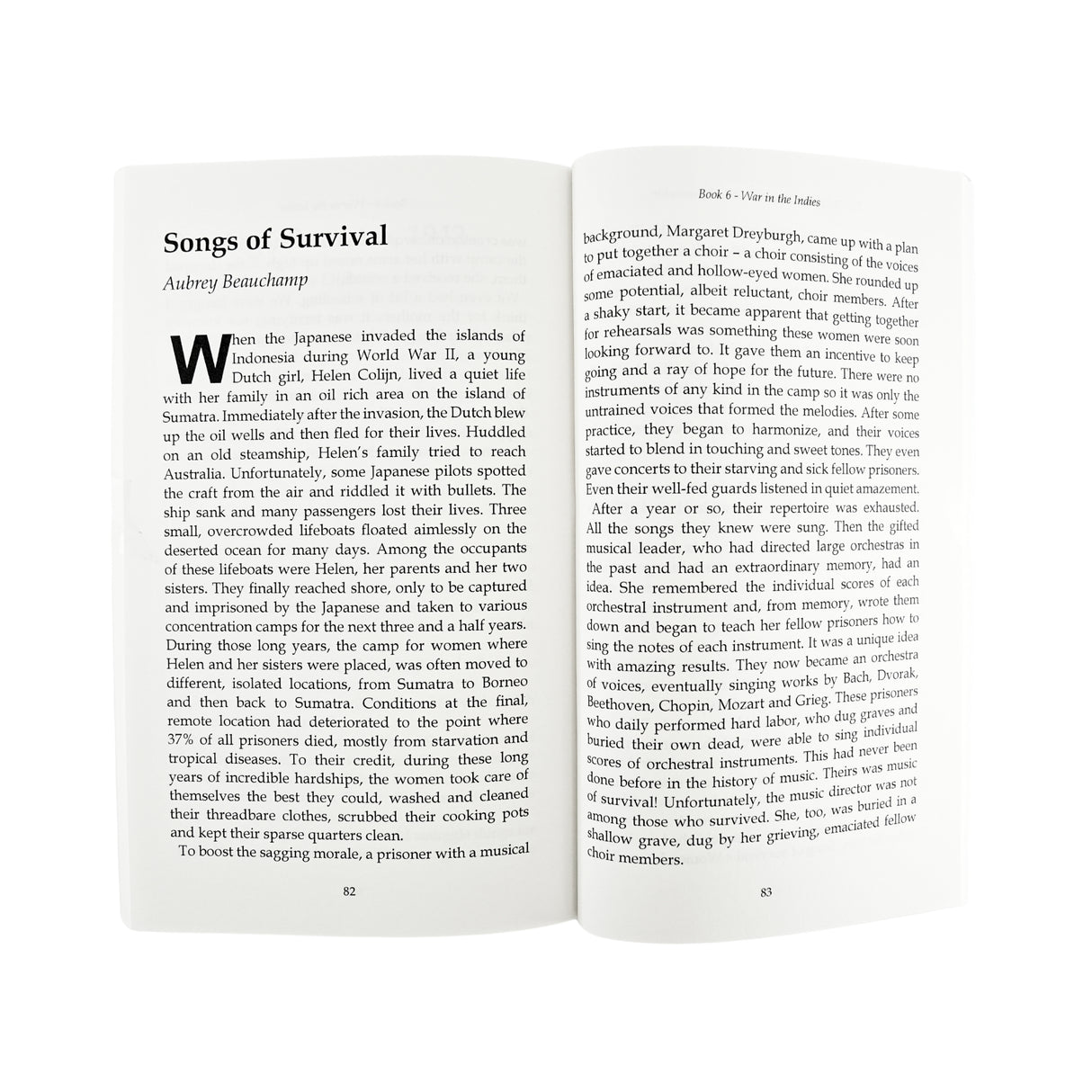 Dutch in Wartime - War in The Indies - Book 6