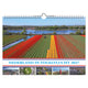All Calendars