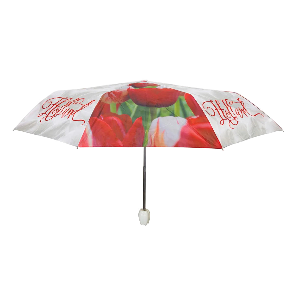 Umbrella Tulips HOLLAND Red/White