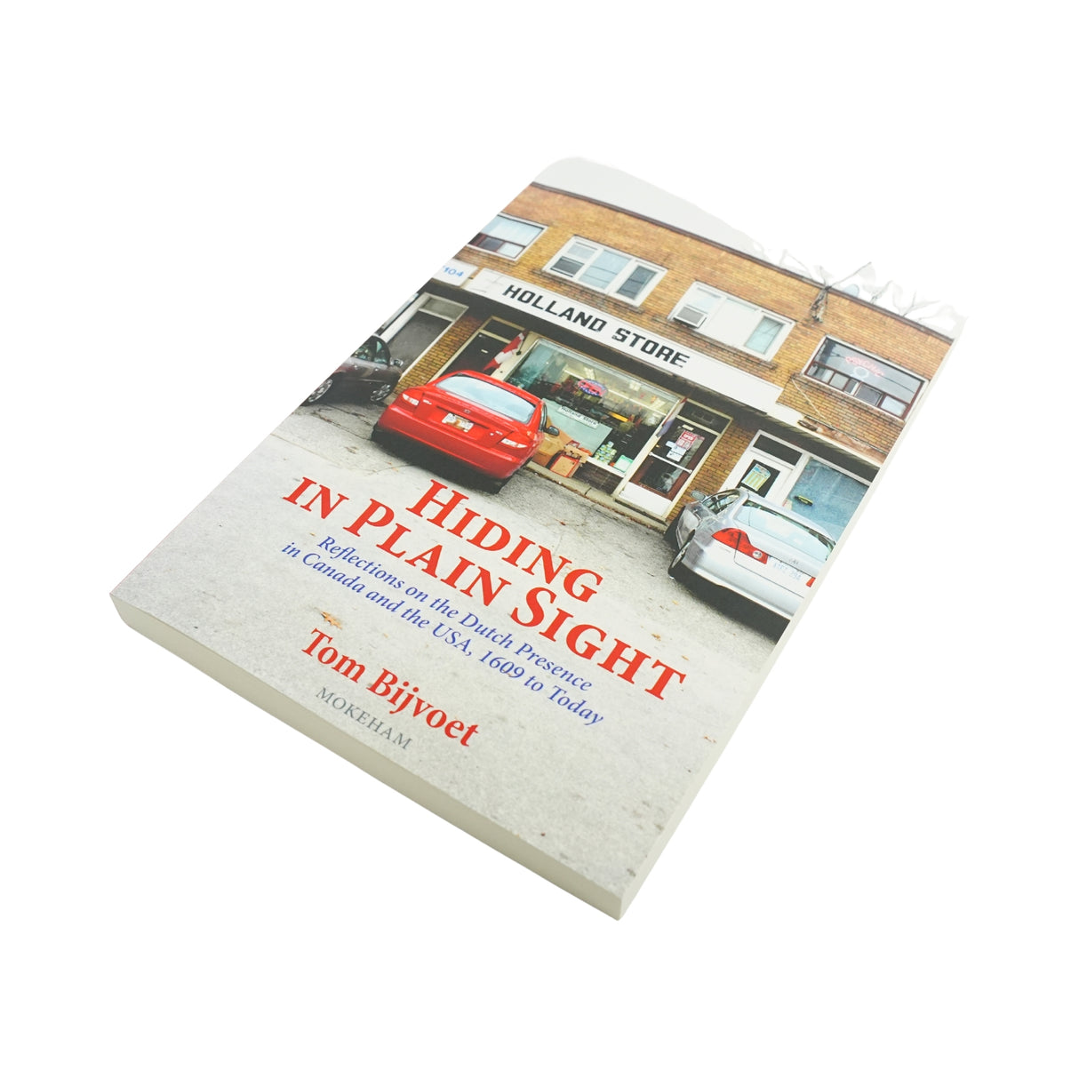 Hiding in Plain Sight Book by Tom Bijvoet