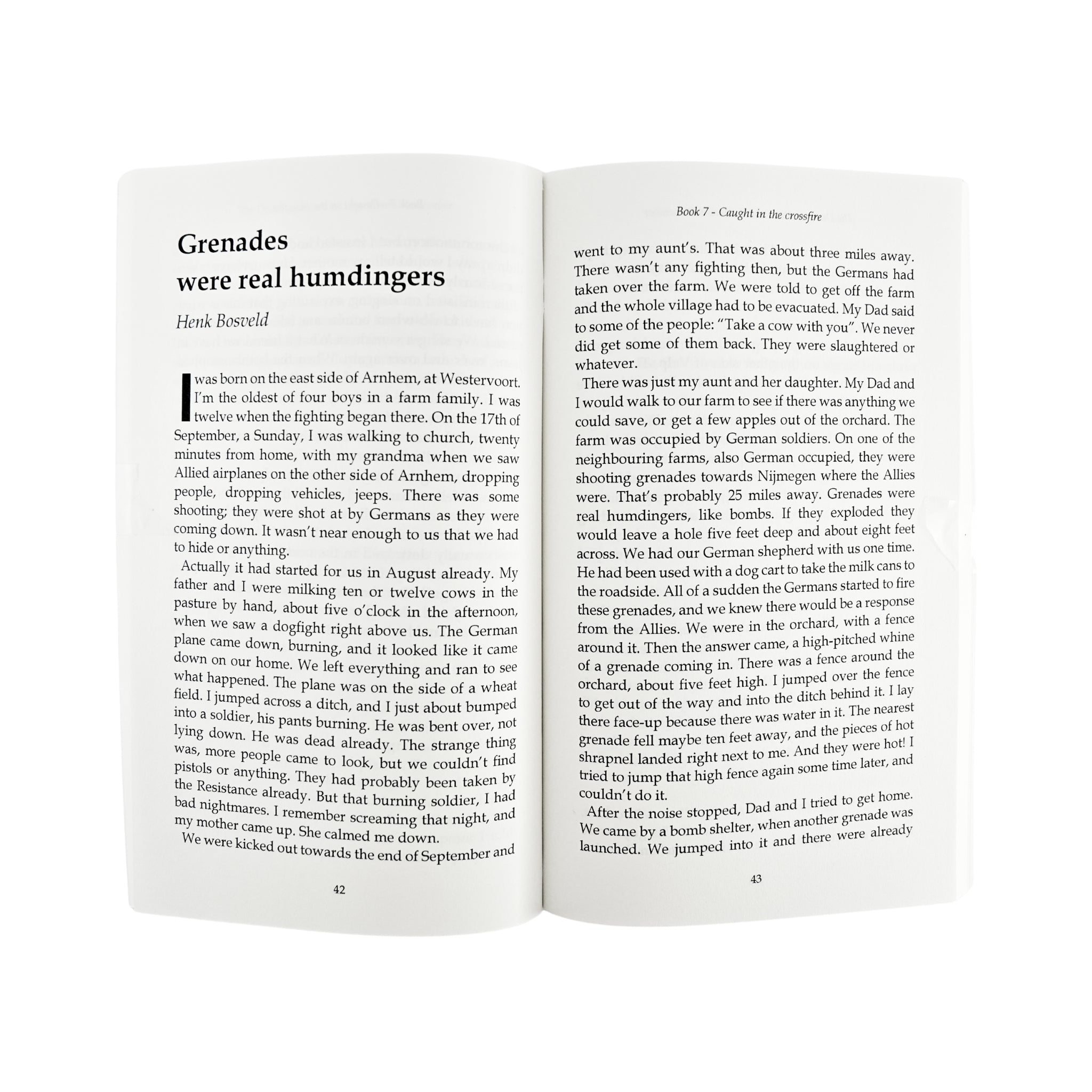 Dutch in Wartime - Caught in The Crossfire - Book 7 – Peters
