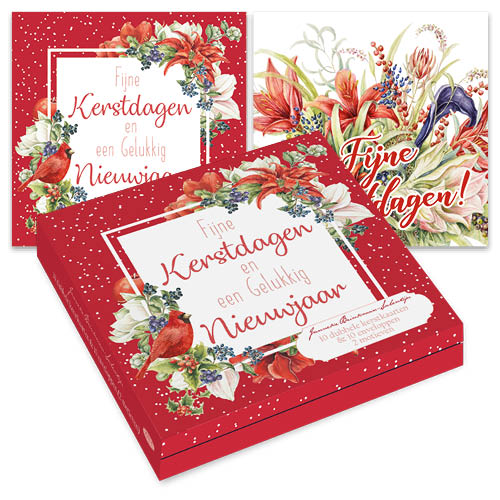 Christmas Cards Janneke Brinkman Red box of 10