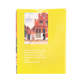 Puzzle Streetview by Johannes Vermeer 1000 Pcs