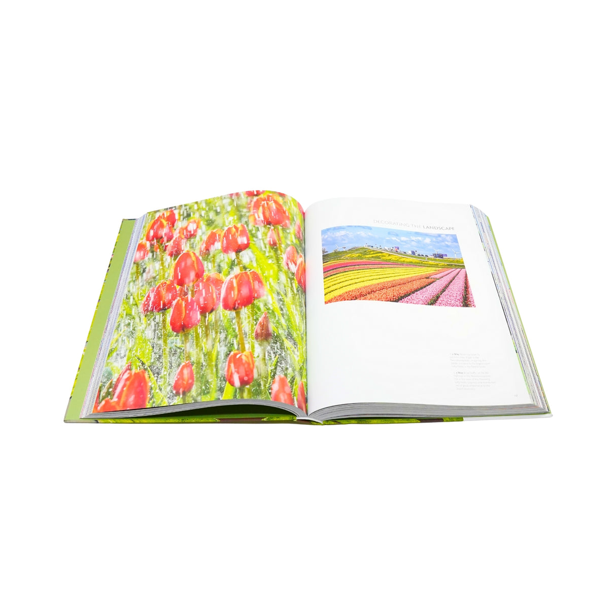 NL 365 A Year in the Netherlands Coffee Table Book of Pictures
