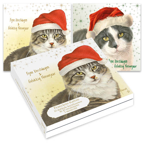 Christmas Cards Franciens Katten Cat with Hat  box of 10