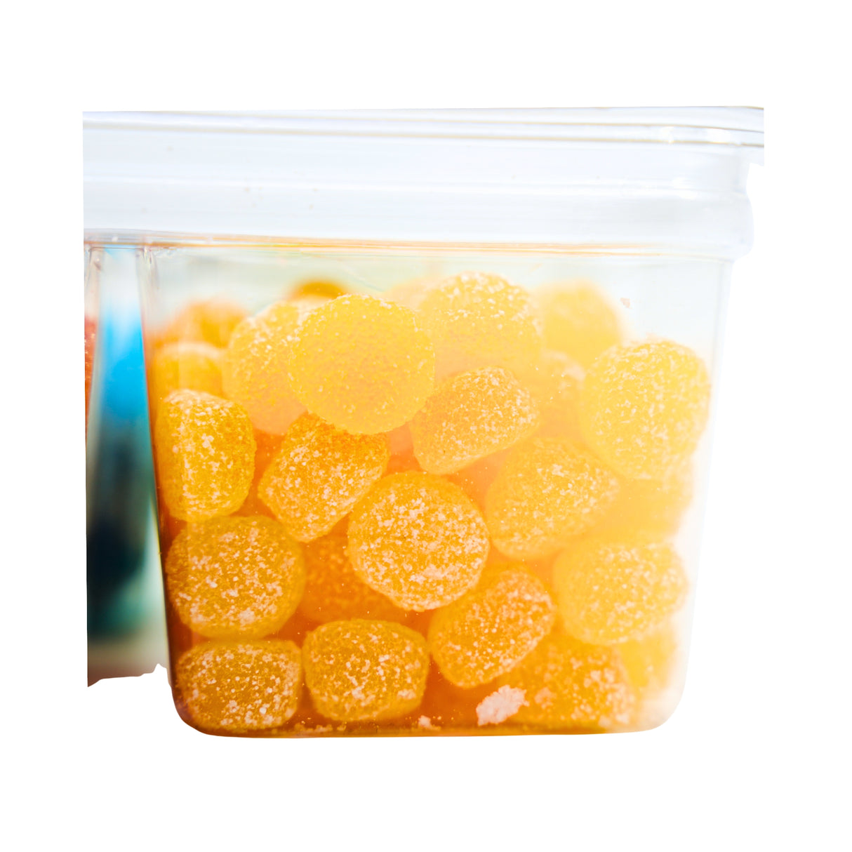 Dutch Hutch Sour Gummi 4 flavor Sampler 1 lb