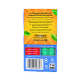 Twinings Winter Spice Herbal Tea 20 ct box